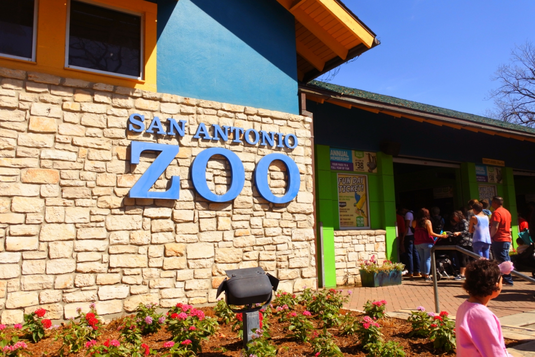 【お子様連れも！】サンアントニオのアメリカンサイズな動物園が楽しい【写真多数】