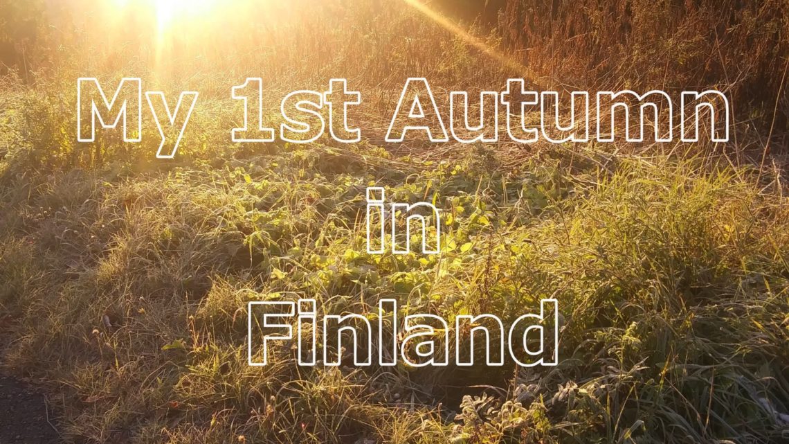 【ユヴァスキュラ生活】フィンランドの秋はむしろ冬だったし、暗くて寒いの本当だった